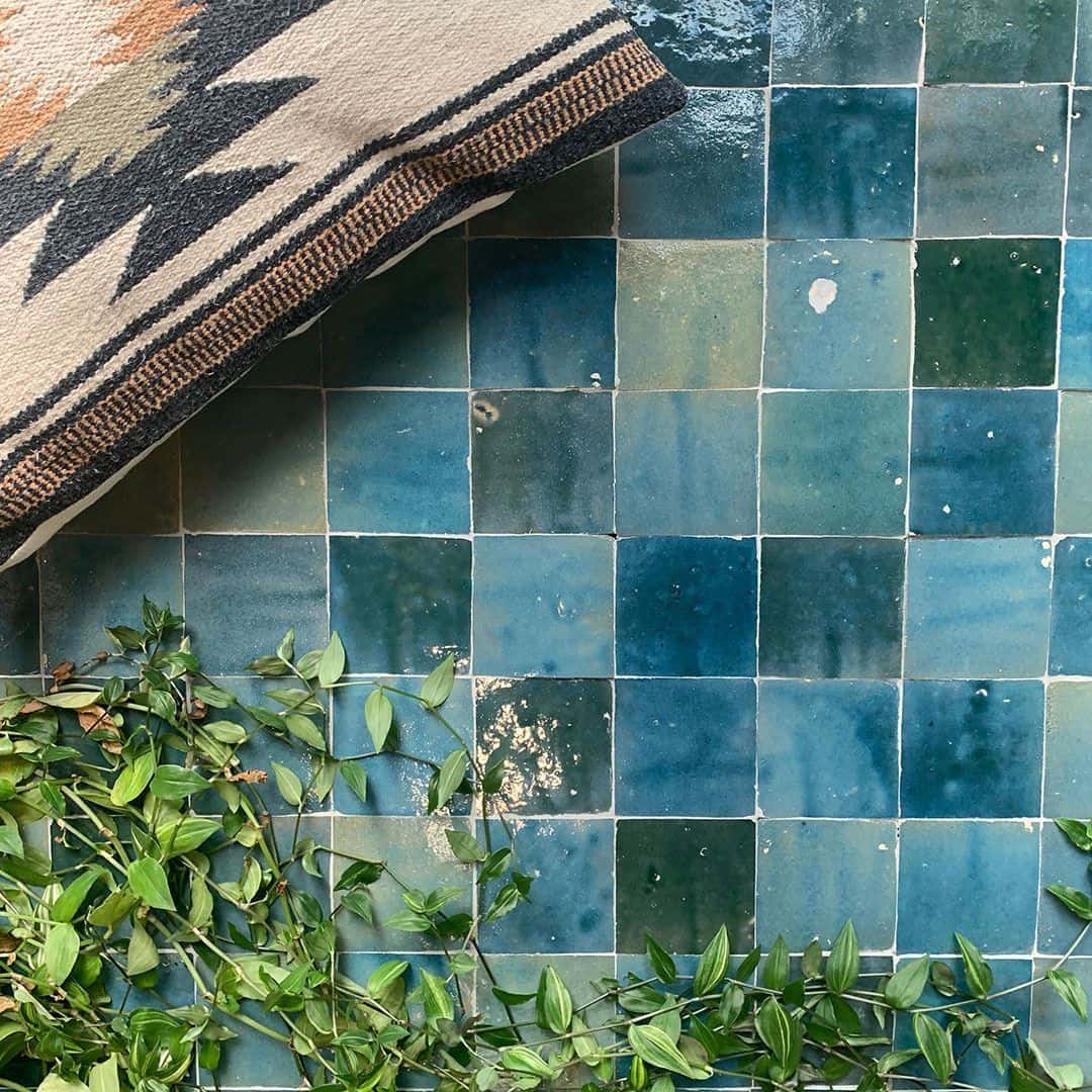 Close-up of terracotta potted succulents and cacti against a blue tiled background, creating a natural and calming aesthetic.