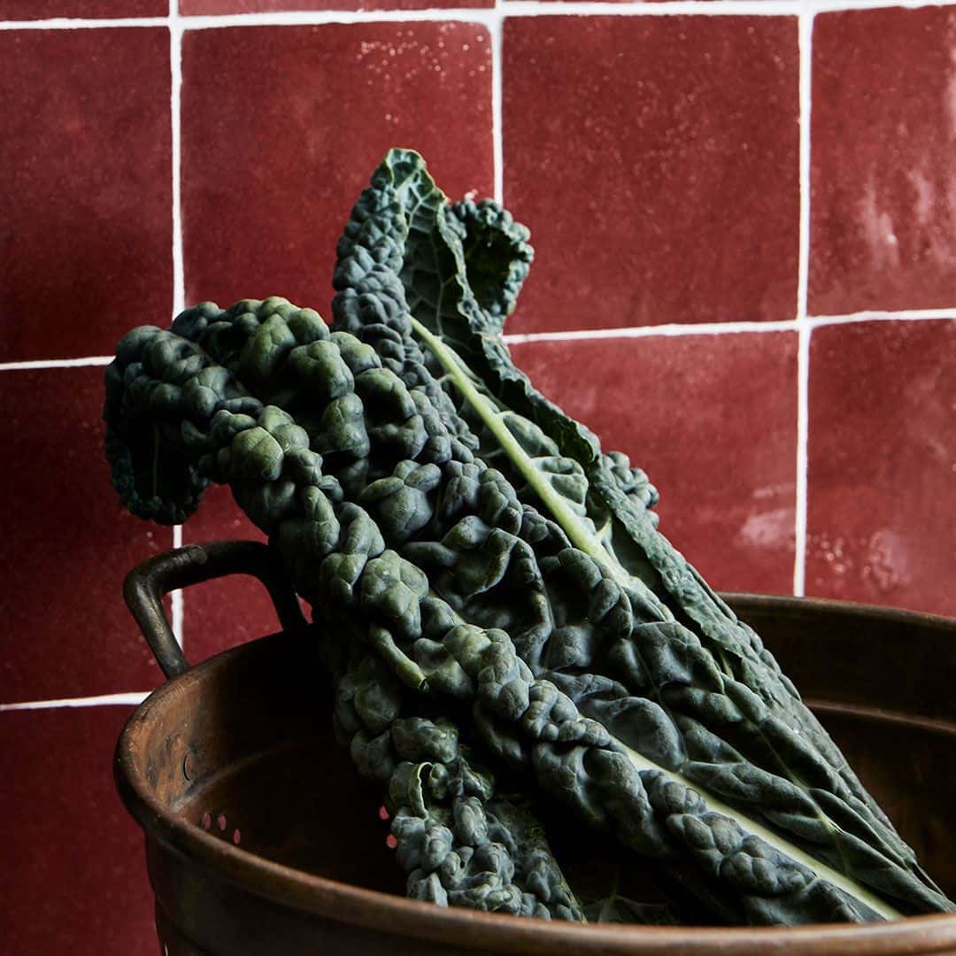 Several large dark green Tuscan kale leaves with a bumpy texture sit inside a brown metal colander. 