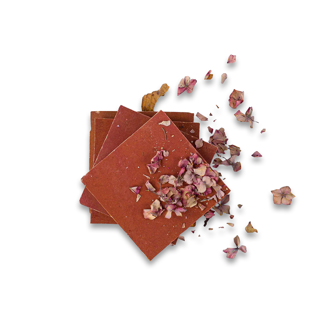 Red square tiles with dried flowers on a white background