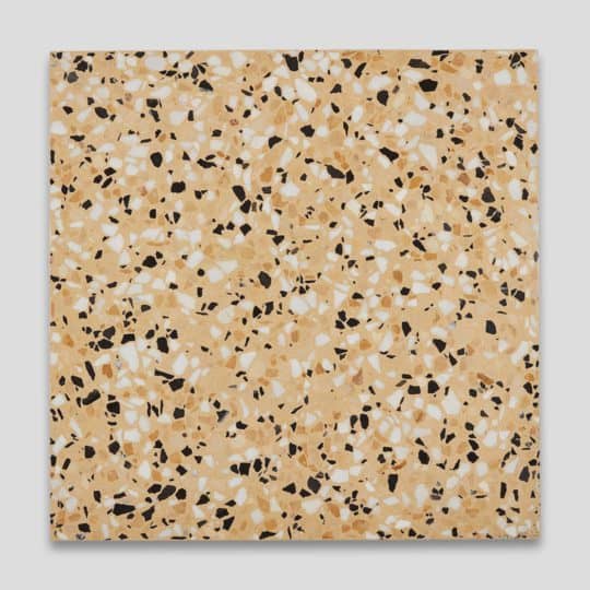 Ravenna Terrazzo Tile